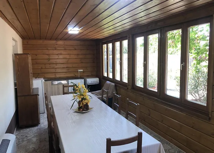 Bettina Vendeghaz キシュケーレシュ