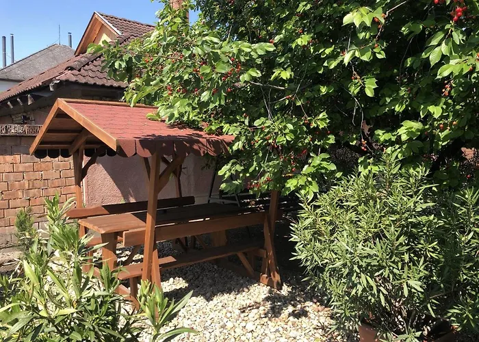 Bettina Vendeghaz キシュケーレシュ